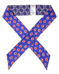 Celine Bobo Silk Scarf
