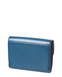 Celine Triomphe Leather Card Holder