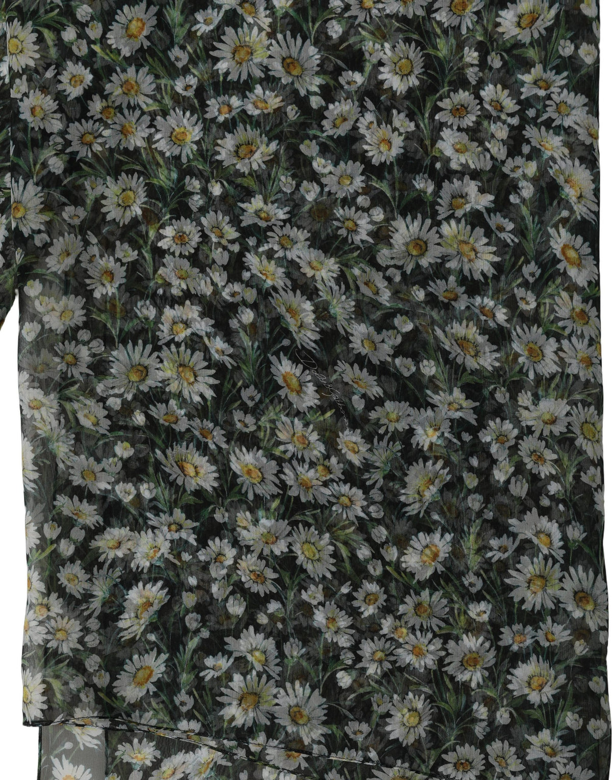 Dolce & Gabbana Dolce & Gabbana Black Silk Daisy Chiffon Long Stole Women's Scarf