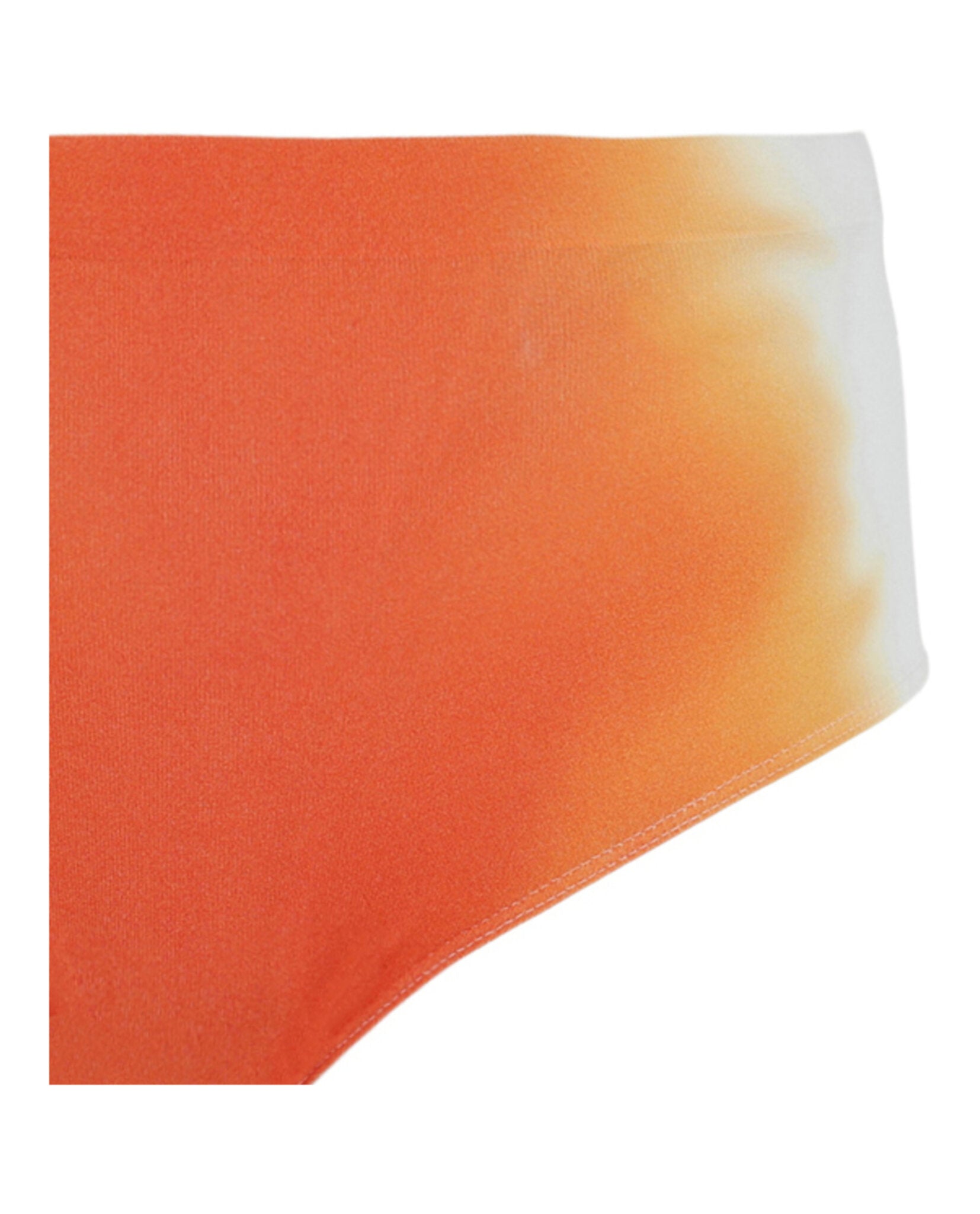 Ferragamo Womens Ombre Briefs