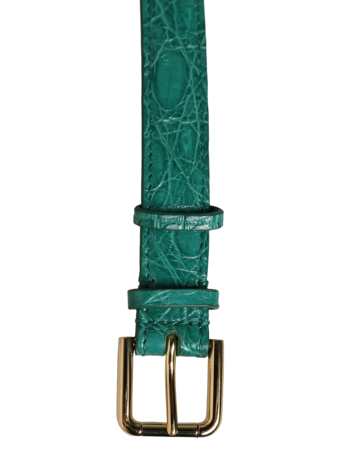 Dolce & Gabbana Dolce & Gabbana Green Embossed Leather Gold Buckle Belt Strap Women's Bracelet