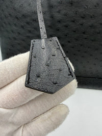 Louis Vuitton LOUIS VUITTON Alma GM in Ostrich Leather Women's Handbag (Authentic Pre-Loved)