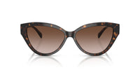 Emporio Armani 0EA4192 502613 Shiny havana Cat eye Sunglasses