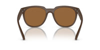 Emporio Armani 0EA4205 52606H Matte brown Square Sunglasses