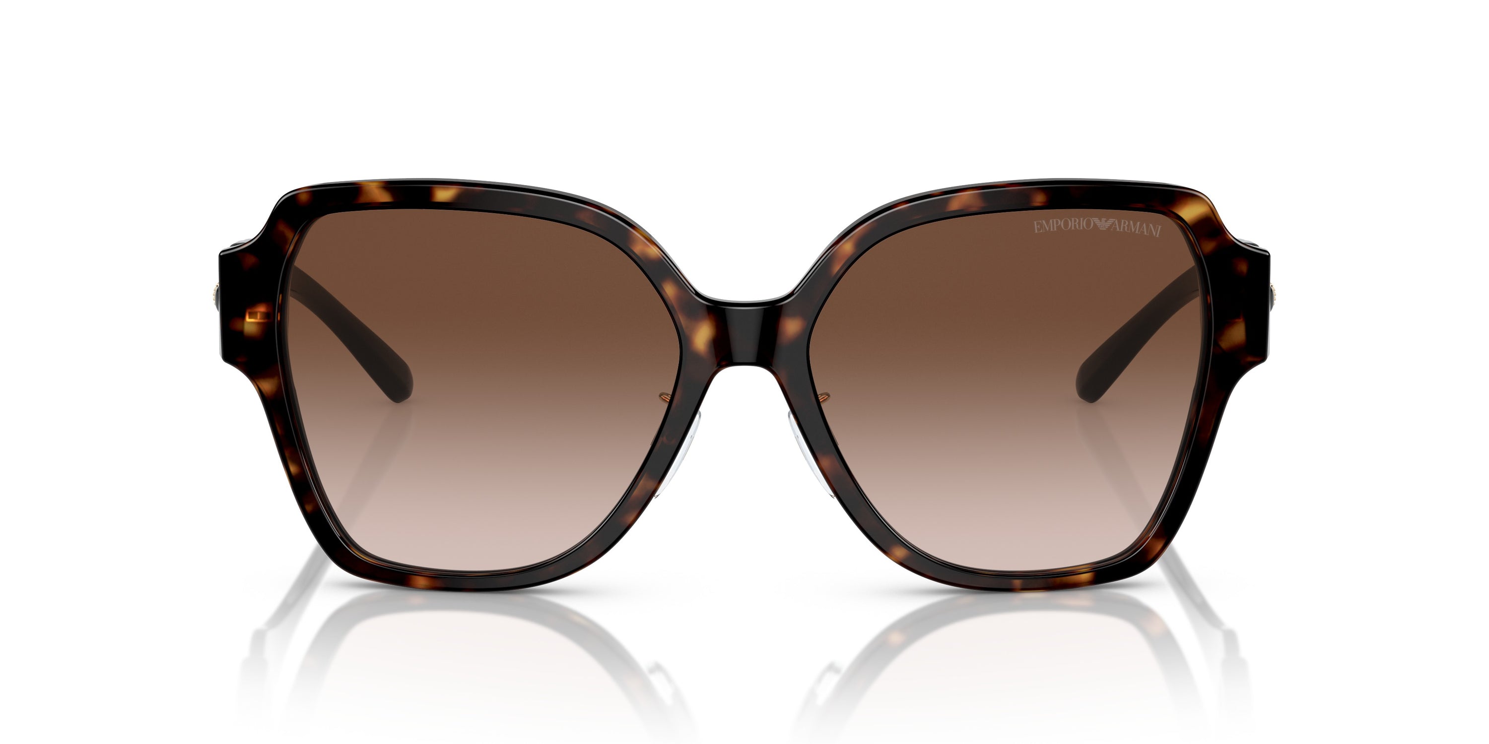Emporio Armani 0EA4202F 502613 Shiny havana Square Sunglasses