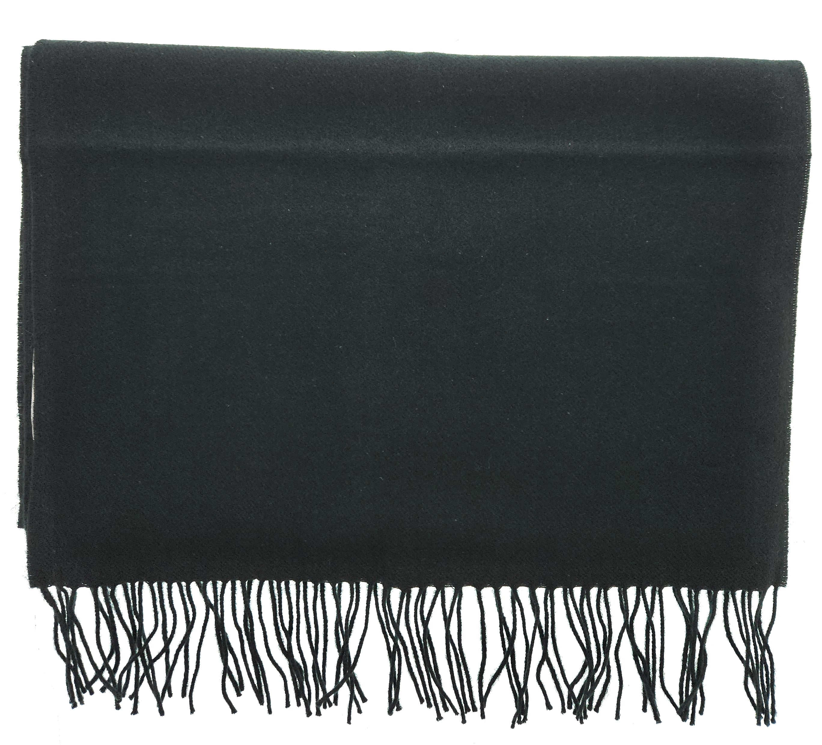 Lanvin Soft Luxurious Cashmere and Wool Green Fringe Scarf