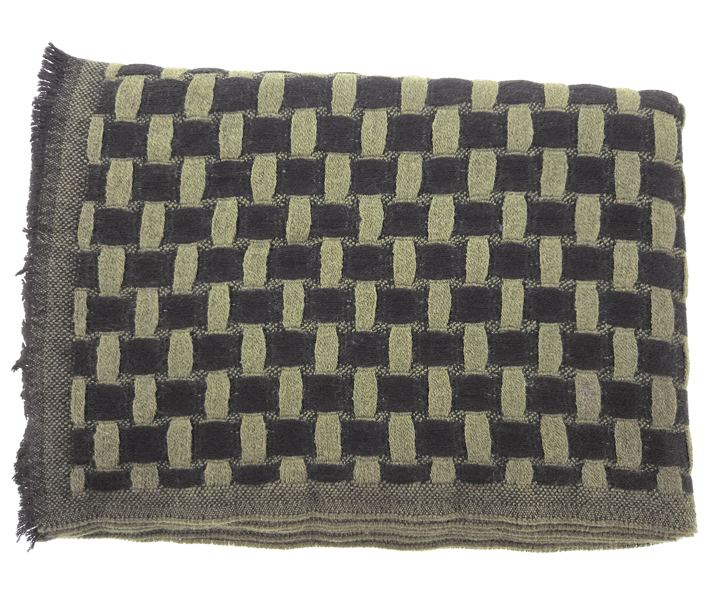 Lanvin Soft Luxurious 100% Wool Green Fringe Scarf