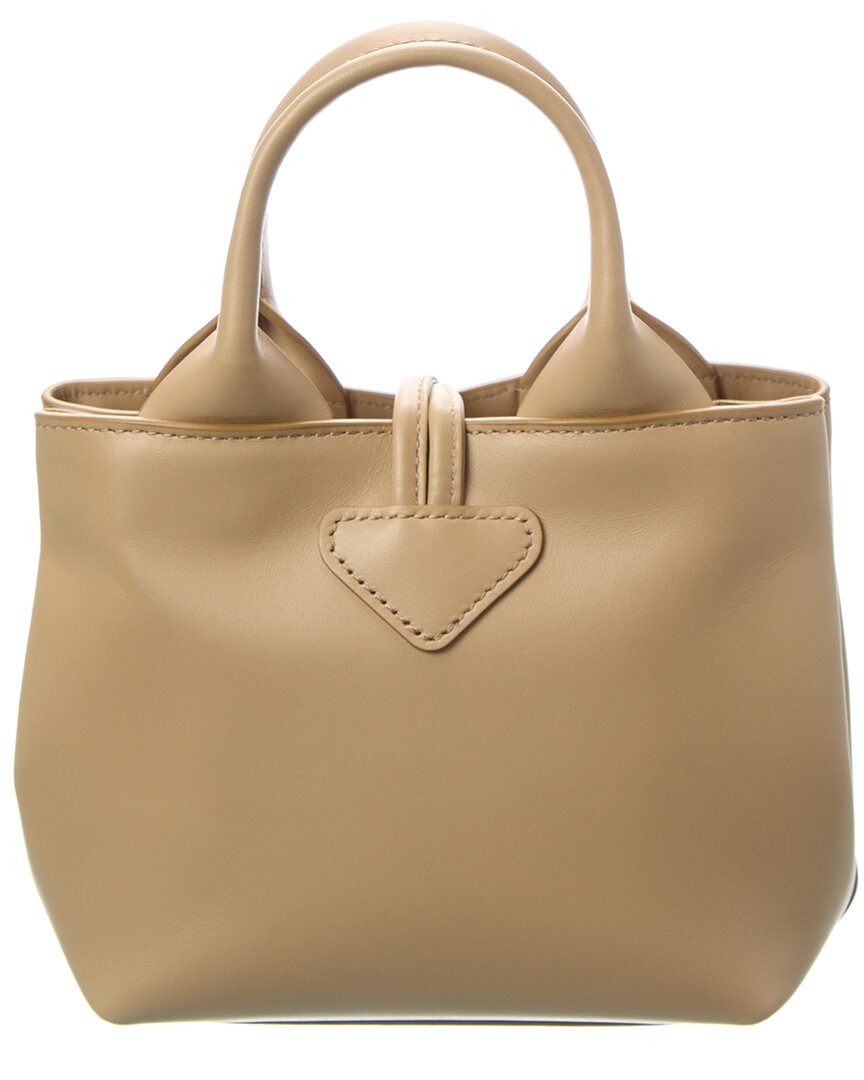Longchamp Le Roseau Xs Leather Handbag