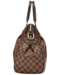 Louis Vuitton Louis Vuitton Brown Damier Ebene & Vachetta Leather Trevi Gm (Authentic