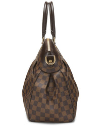 Louis Vuitton Louis Vuitton Brown Damier Ebene & Vachetta Leather Trevi Gm (Authentic
