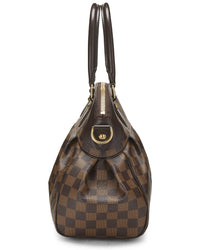 Louis Vuitton Louis Vuitton Brown Damier Ebene & Vachetta Leather Trevi Pm (Authentic
