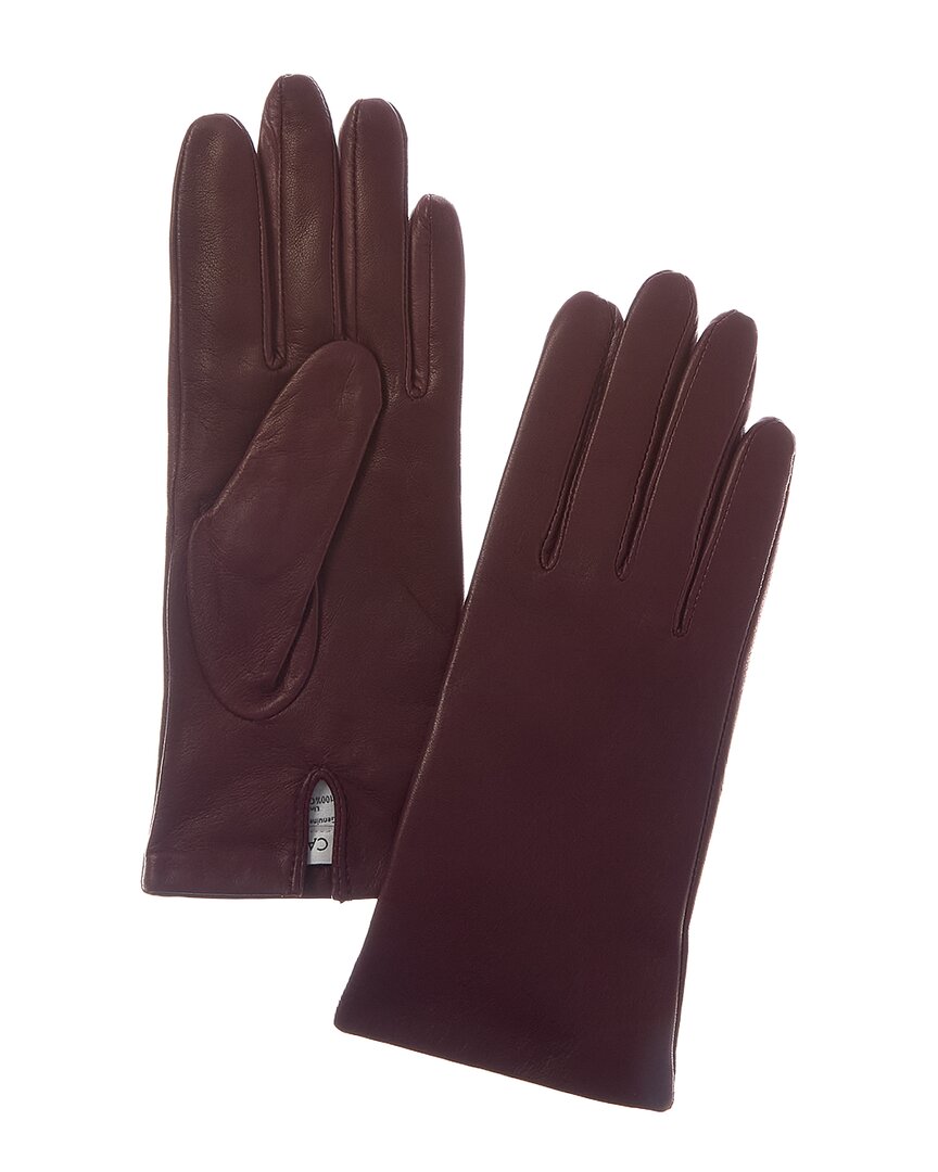 Sofia Cashmere Sofiacashmere Classic Cashmere-Lined Nappa Leather Gloves
