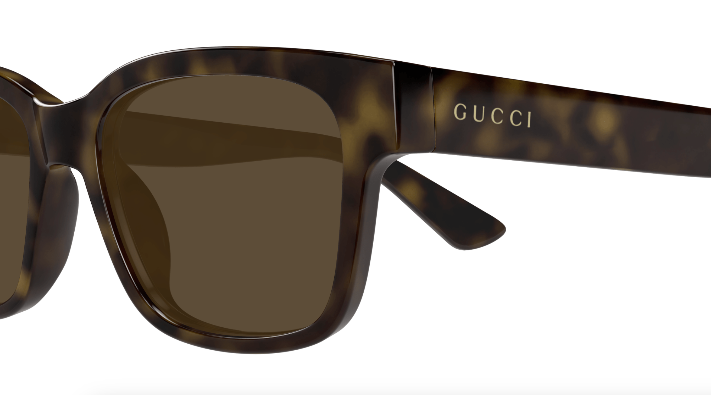 Gucci GG1716S-002 Havana square Mens Sunglasses