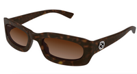 Gucci GG1786S-002 Havana square Mens Sunglasses