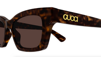 Gucci GG1790S-002 Havana square Ladies Sunglasses