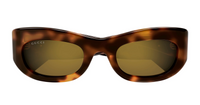 Gucci GG1809S-003 Havana round Ladies Sunglasses