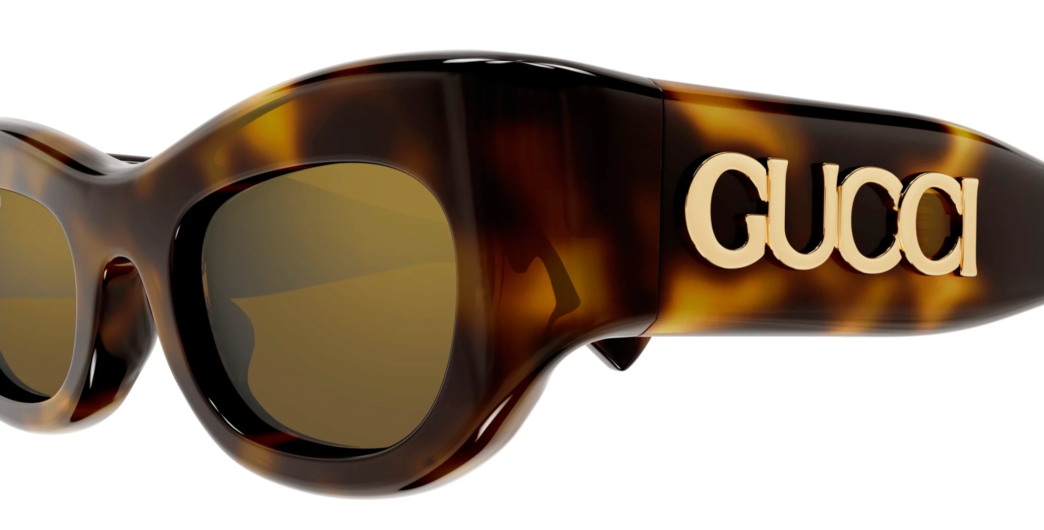 Gucci GG1809S-003 Havana round Ladies Sunglasses