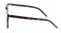Saint Laurent SL M146-002 Havana square Sunglasses