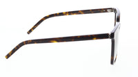 Saint Laurent SL M146-002 Havana square Sunglasses