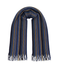 Missoni Missoni Blue Yellow Classic Fringe Stripe Wool Scarf