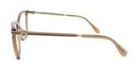 Salvatore Ferragamo Transparent Brown Cat Eye SF3024 232 Eyeglasses