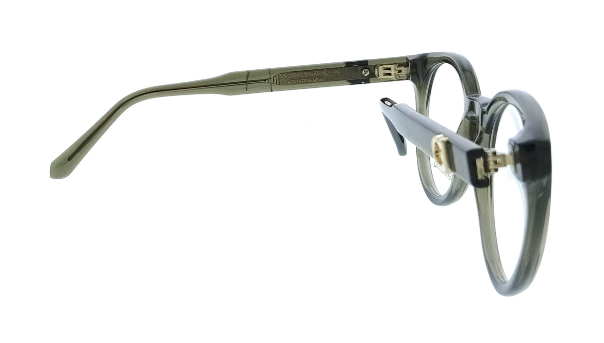 Salvatore Ferragamo Transparent Khaki Cat Eye SF3032E 320 Eyeglasses
