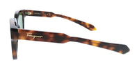Salvatore Ferragamo Tortoise Round SF1064SCP 240 Sunglasses