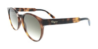 Salvatore Ferragamo Tortoise Round SF1068S 240 Sunglasses