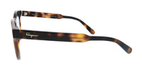 Salvatore Ferragamo Tortoise Round SF1068S 240 Sunglasses