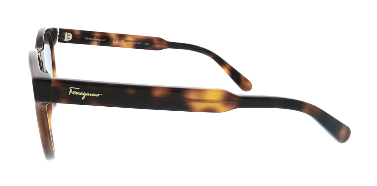 Salvatore Ferragamo Tortoise Round SF1068S 240 Sunglasses