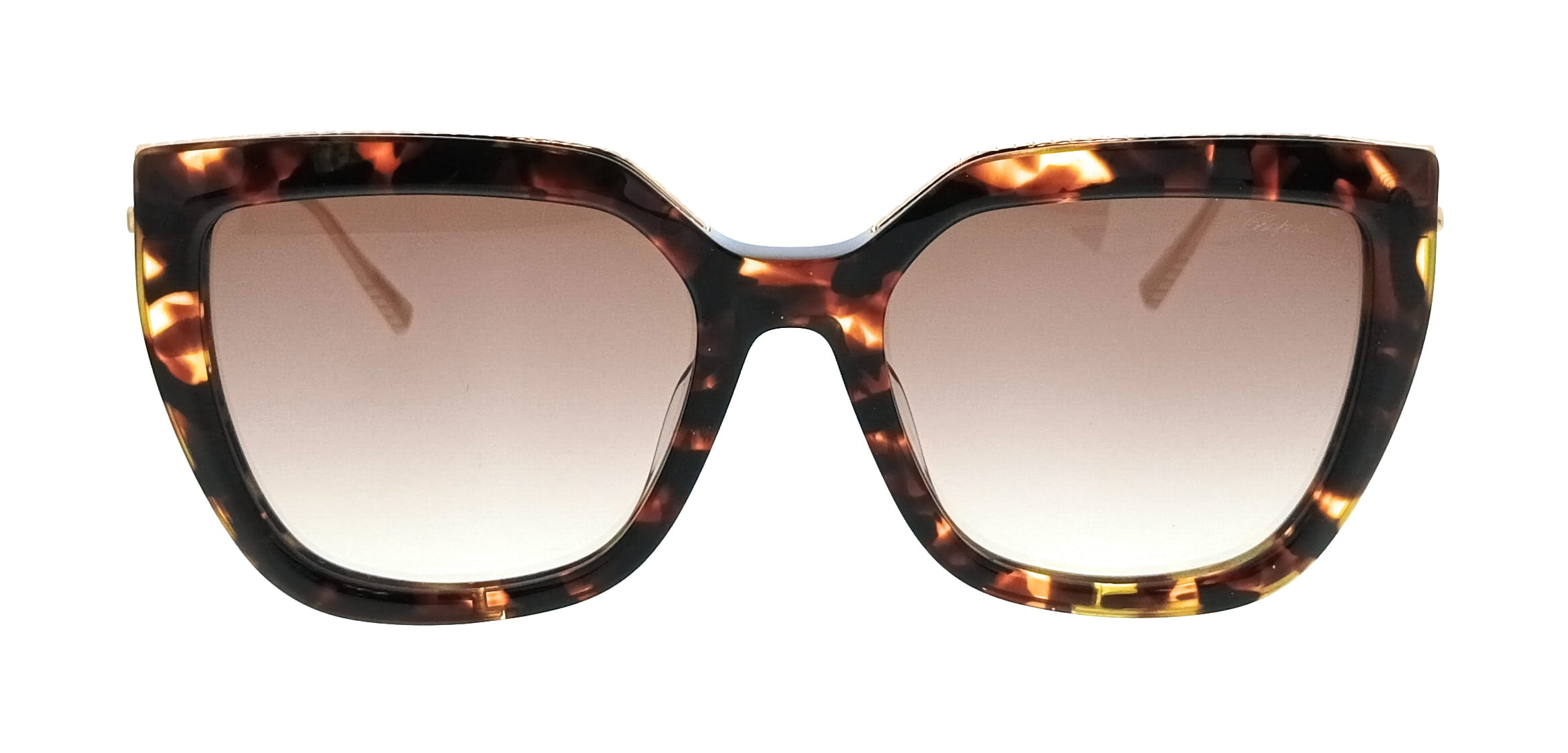 Chopard Chopard SCH319M540745 Havana Cat Eye Womens Sunglasses