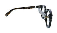 Philipp Plein Philipp Plein Tortoise Square VPP024V49722Y Eyeglasses