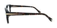 Roberto Cavalli Roberto Cavalli Brown Yellow Havan Square VRC044M490743 Eyeglasses