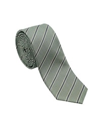 ARMANI COLLEZIONI Armani Collezioni Mens Sage Green / Navy Diagonal Stripe Neck Tie