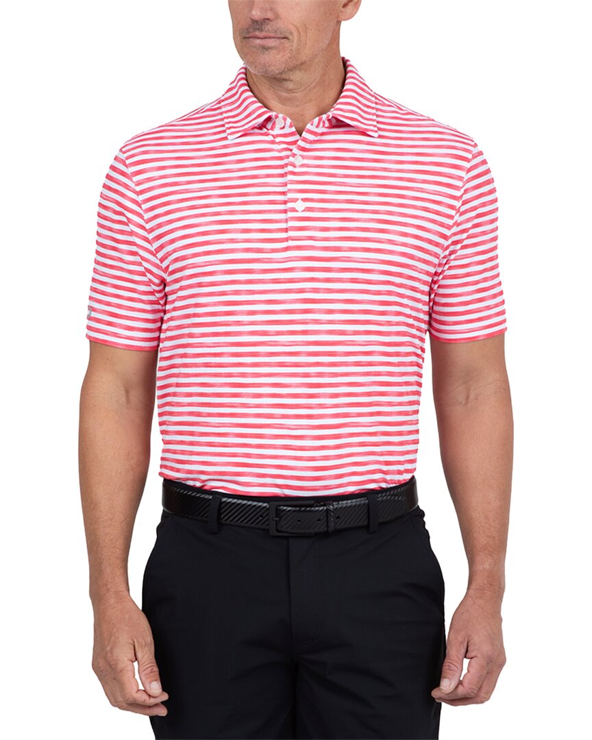 Ibkul Polo Shirt