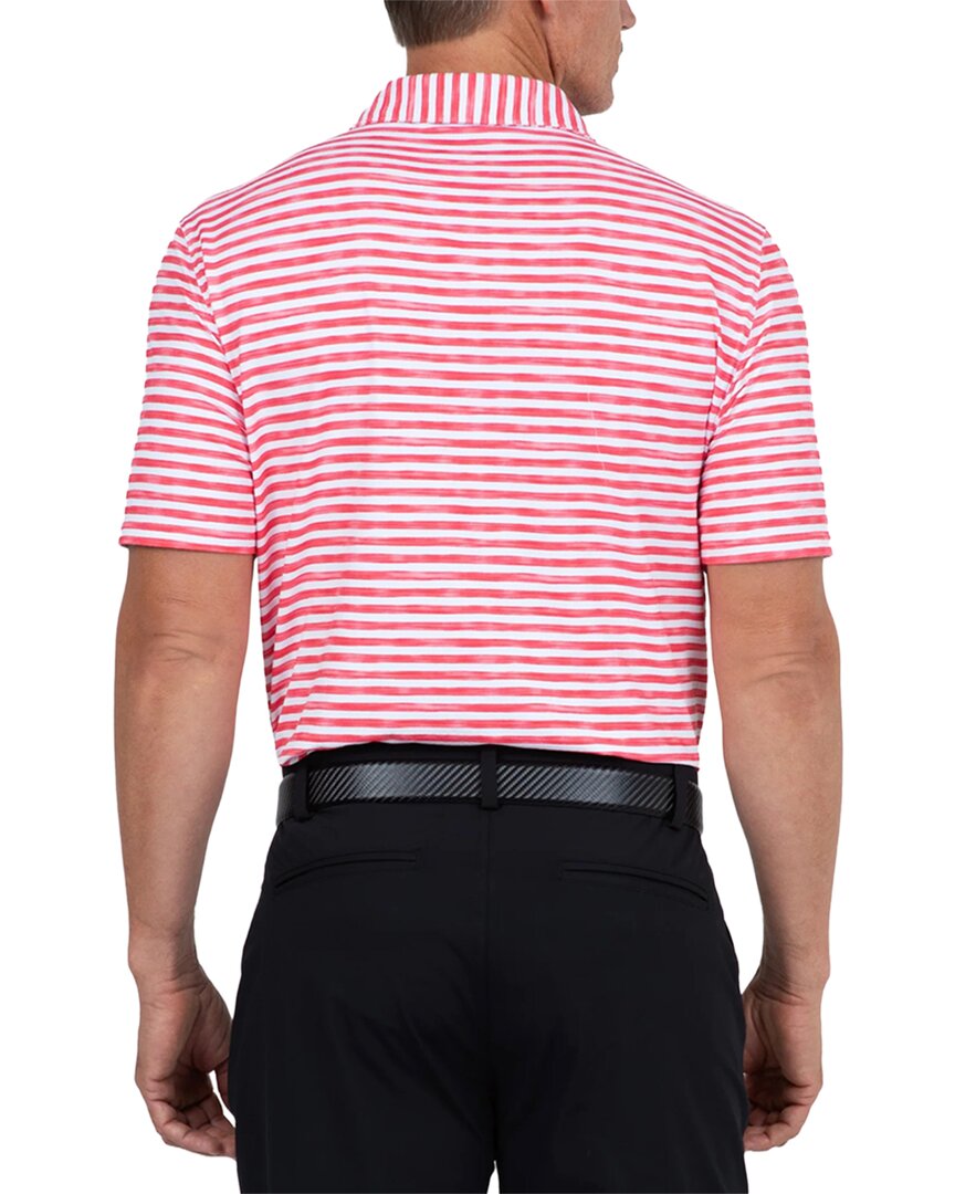 Ibkul Polo Shirt