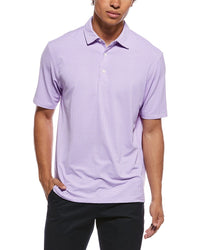 Ibkul Polo Shirt