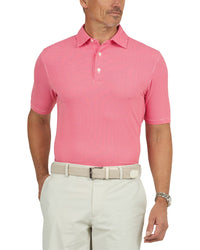 Ibkul Polo Shirt