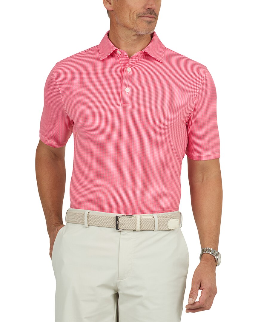Ibkul Polo Shirt