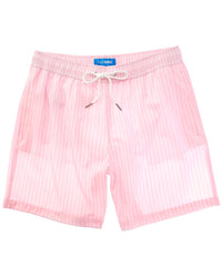 Bluewave Stretch Swim Short