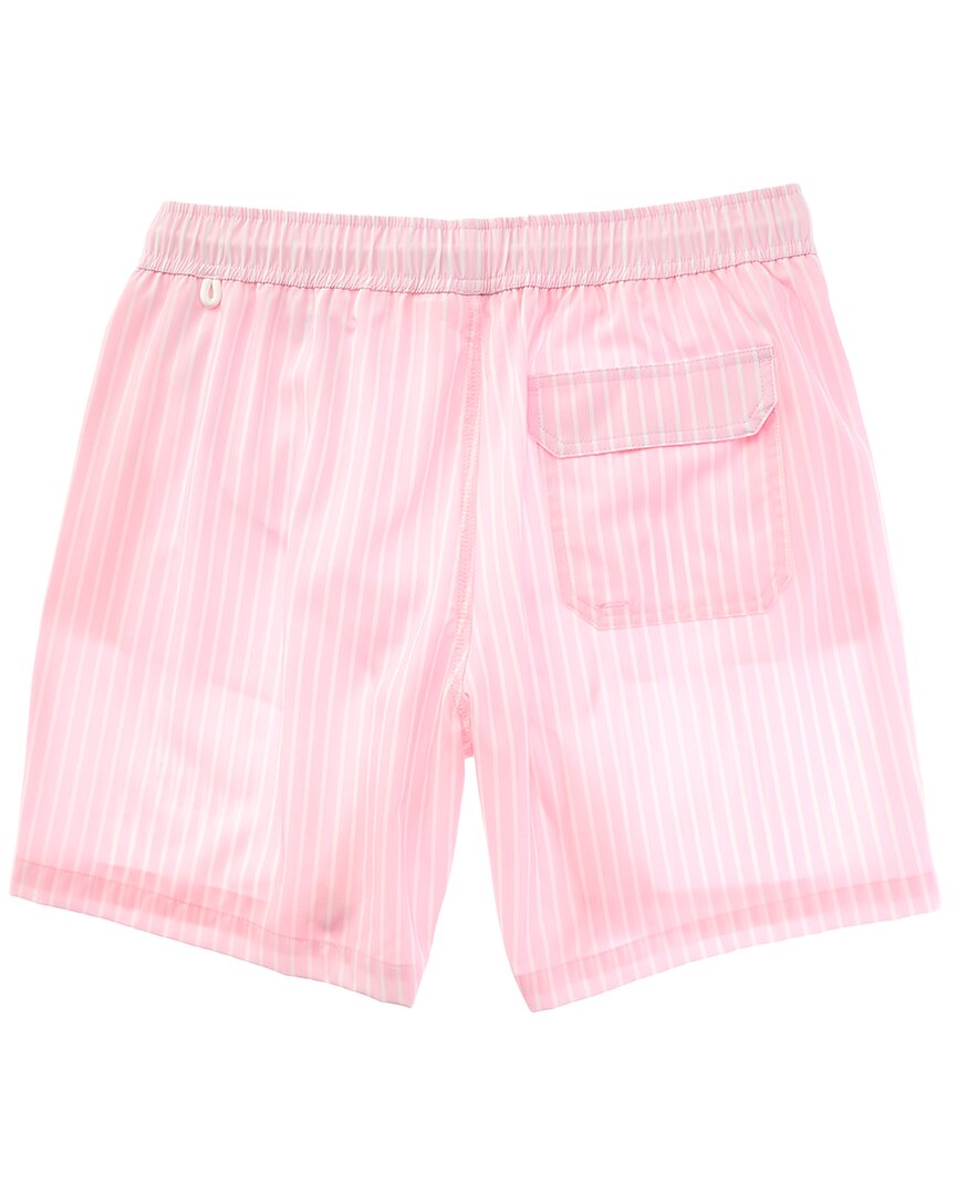 Bluewave Stretch Swim Short