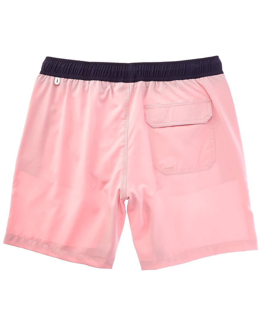 Bluewave Stretch Swim Short
