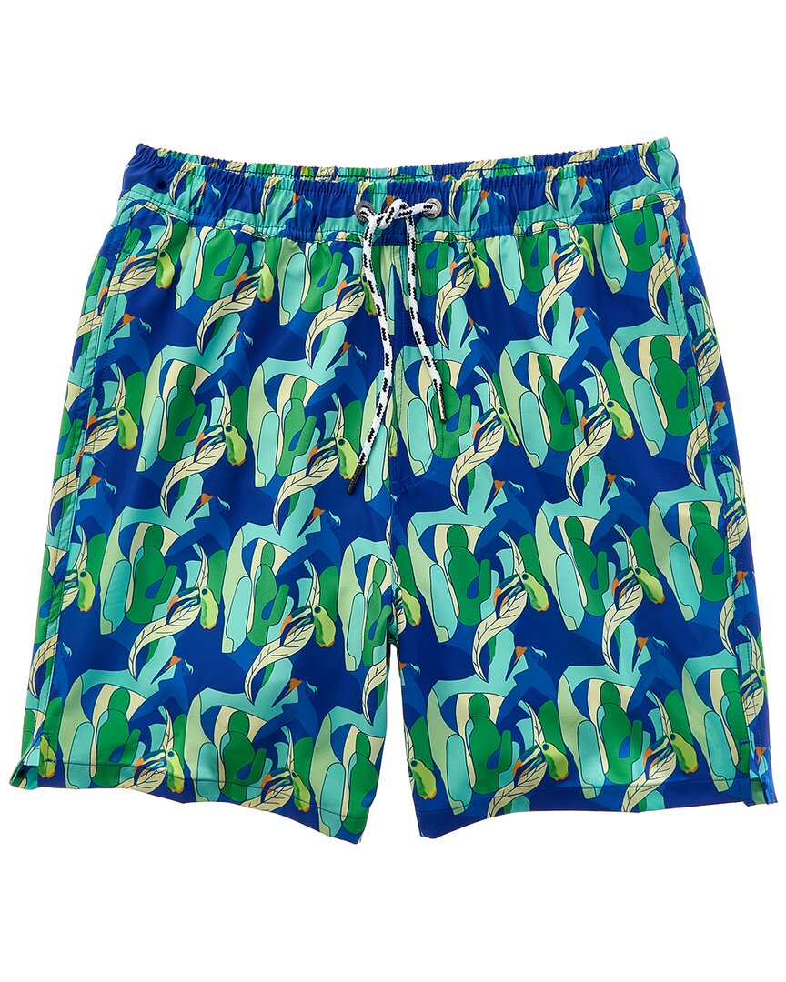 Snapper Rock Toucan Jungle Sustainable Swim Short