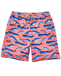 Snapper Rock Whale Tail Swim Short