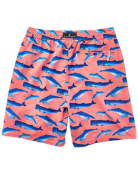 Snapper Rock Whale Tail Swim Short