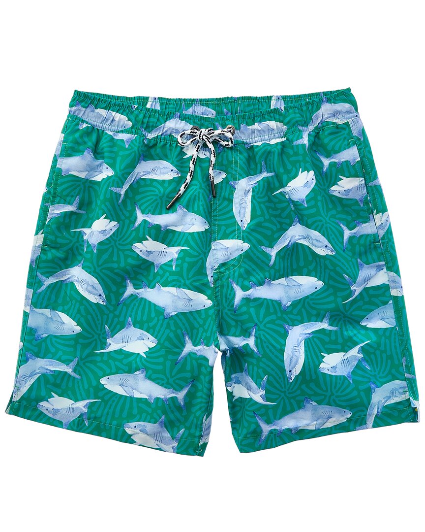 Snapper Rock Reef Shark Swim Short