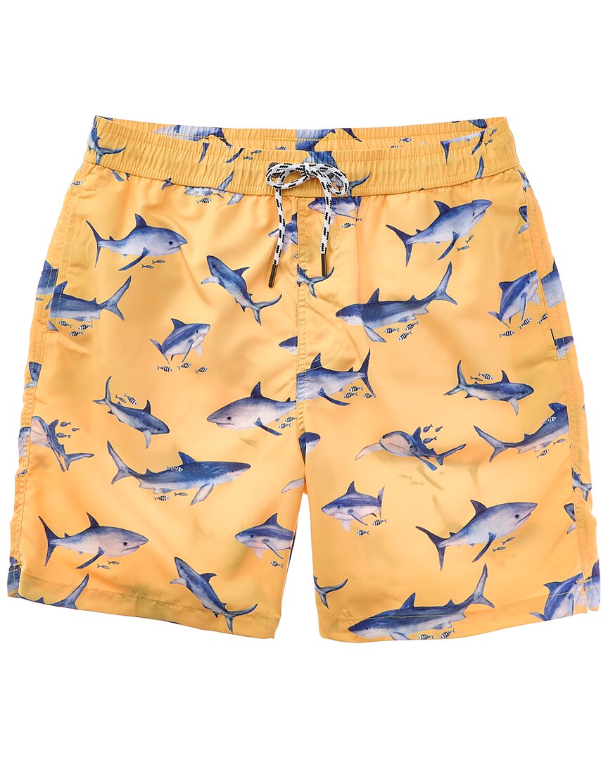 Snapper Rock Sunrise Shark Board Short