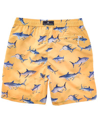 Snapper Rock Sunrise Shark Board Short