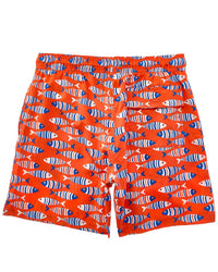 Tom & Teddy Fish Swim Trunk