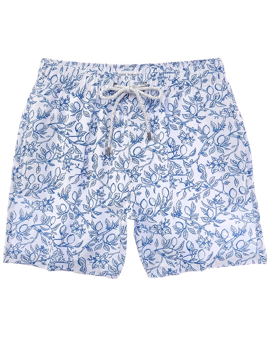Vintage Summer Seersucker Swim Short